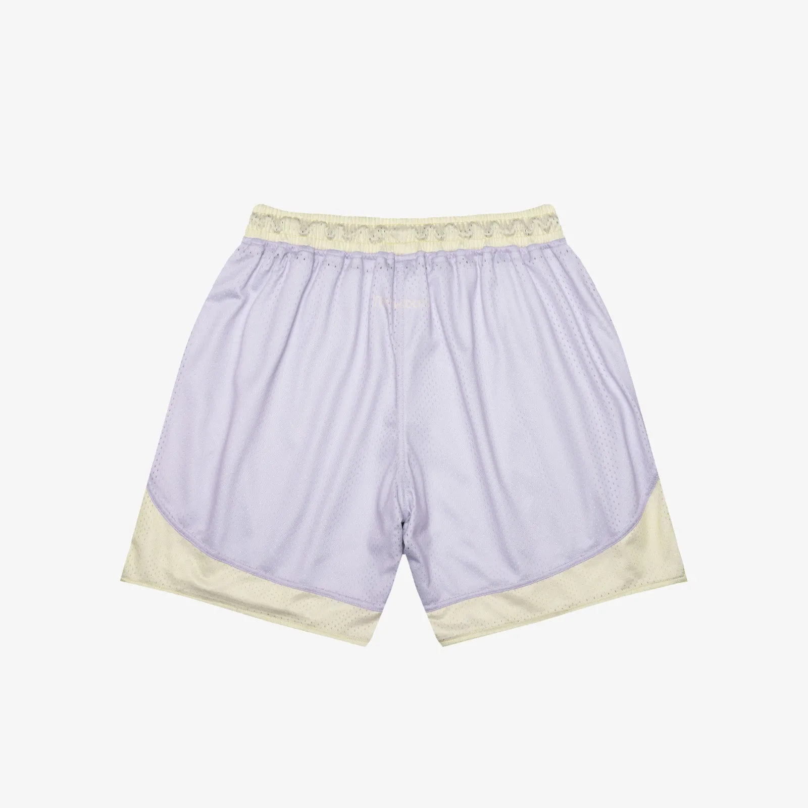 Basketball & Friends Mesh Shorts - Lilac