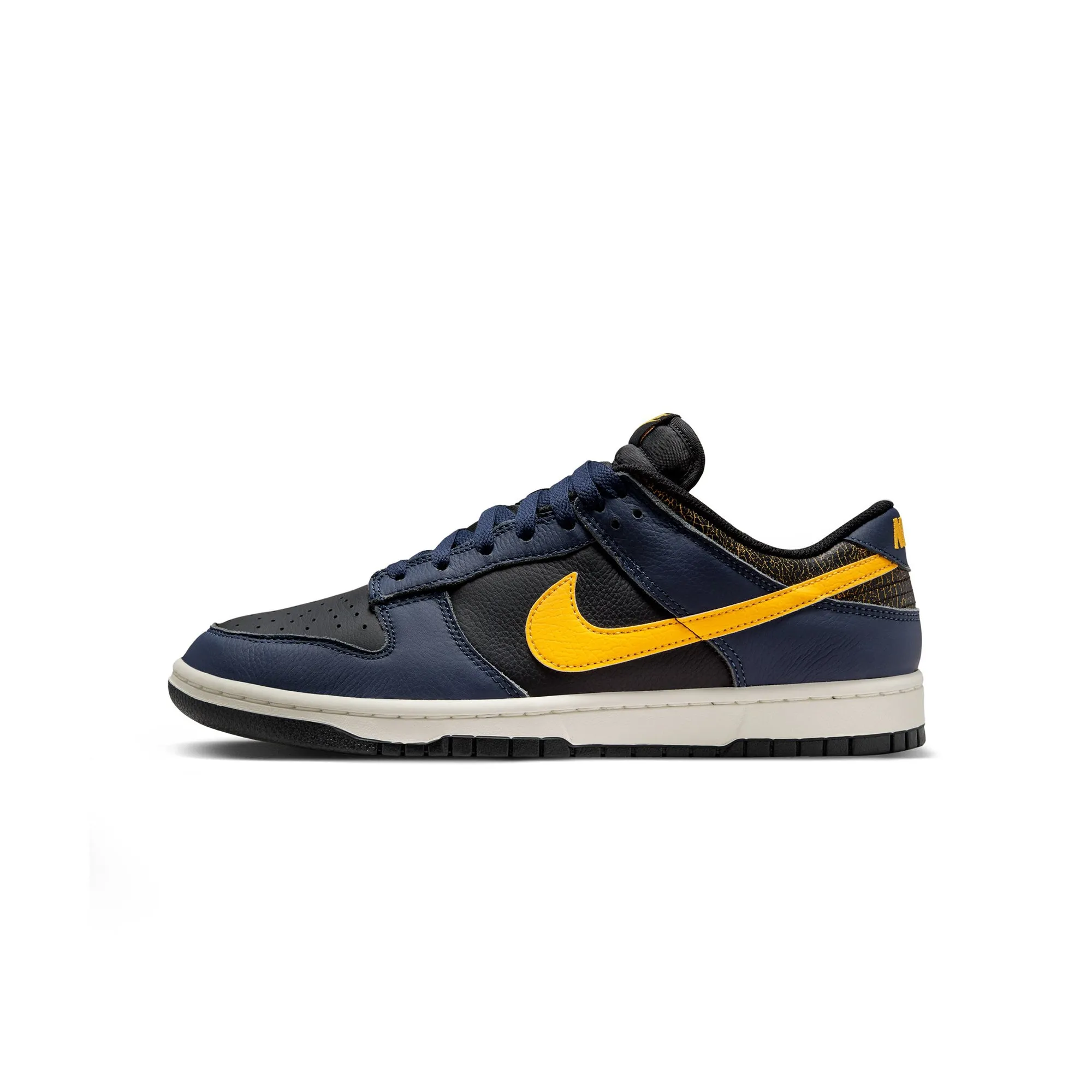 Nike Dunk Low Retro Shoes