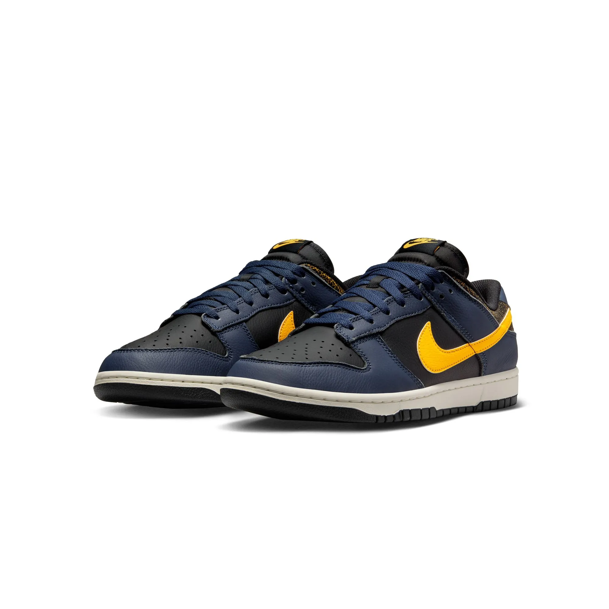 Nike Dunk Low Retro Shoes